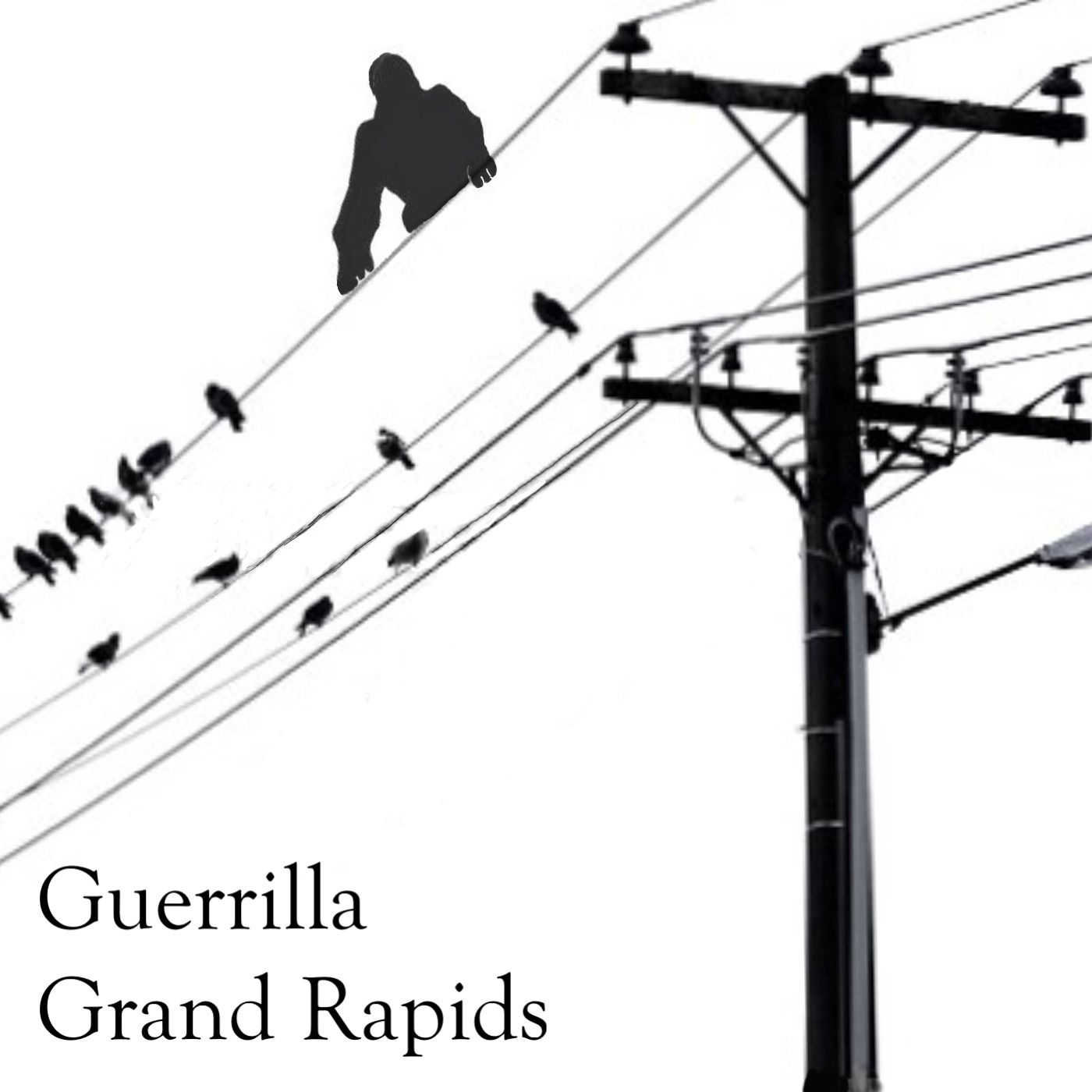 Guerrilla Grand Rapids