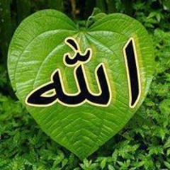 محمد السيد الكنانى