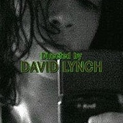 Racheal Quinn Phoenix