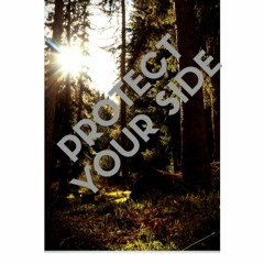 P.Y.S (protect your side)