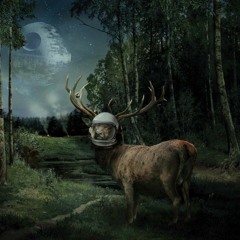 Space_Buk