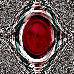 Raptor Chapter Records