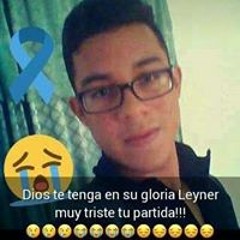 user730565557