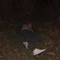 Brandon_Gernert