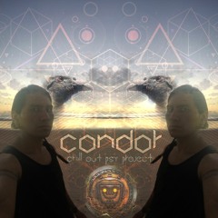 CONDOR chill out project (Andean tribe records)