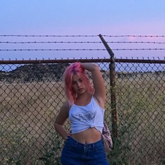 Tayler Lynn Hanebrink