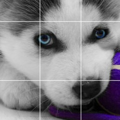 Blue :v