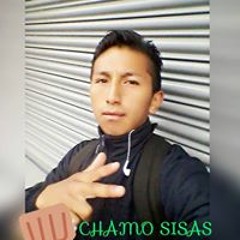 Chamo Solitario Caisa
