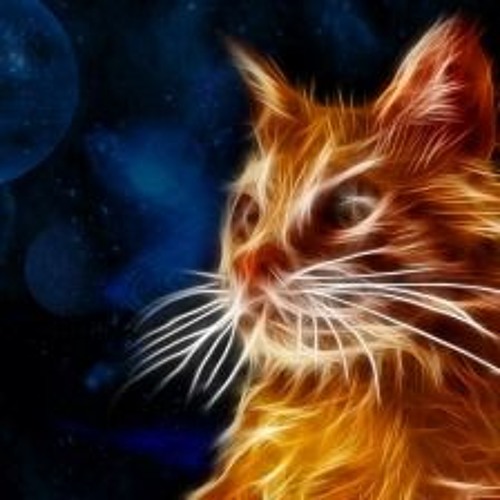 Kartel De Las Calles El Comienzo