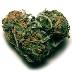 Ganja Haze
