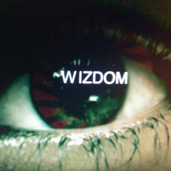 Wizdom™