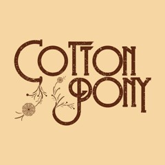 Cotton Pony