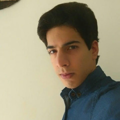 seied mojtaba Matloubi