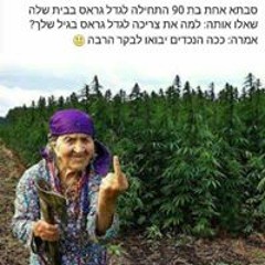 כפיר לוי