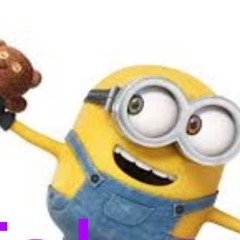 שחף