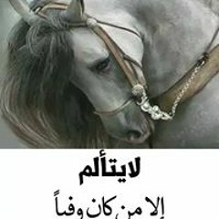 مصطفي جابر فهمي التلب