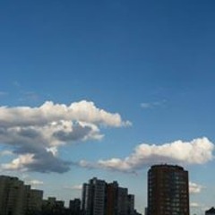 Елена Шаламова
