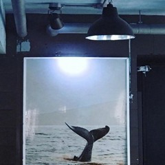 잭앤웨일(Jack&Whale)