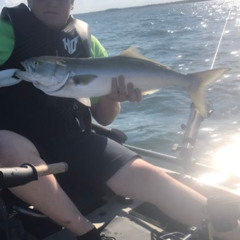 HJR Hunting, Shooting