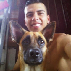 Jhon Edison Gallego V.