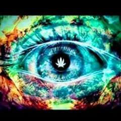 Bender Acid