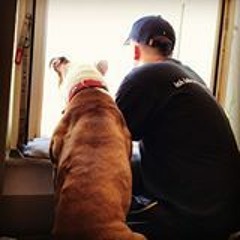 Kabbi (Alter Speicher Petkus)