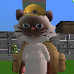 猫 TDN