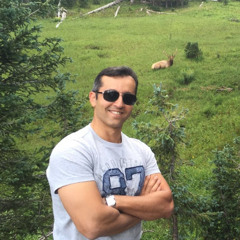 Hazem Elewa
