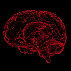 Dead Brain