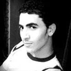 ali elsamady