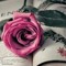Eman Ahmed