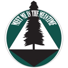 Meet Me In The Meantime