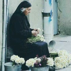 Aliaa Elbadry