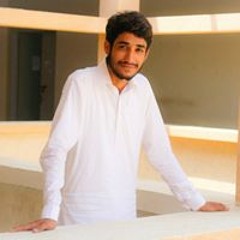 Sayed Hassan Raza Shah