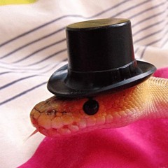 snake in a hat