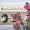 Shireen Abouelamayem