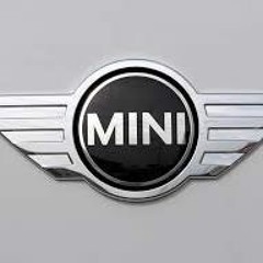 Mini Man