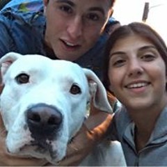 Paola Vega's Instagram, Twitter & Facebook on IDCrawl