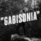 Irakli Gabisonia