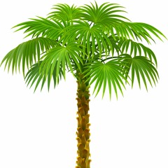 DominicColes