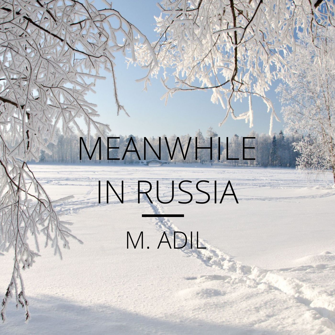 Meanwhile in Russia m. Adil
