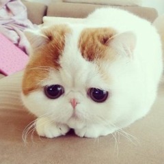 Constance Christensen