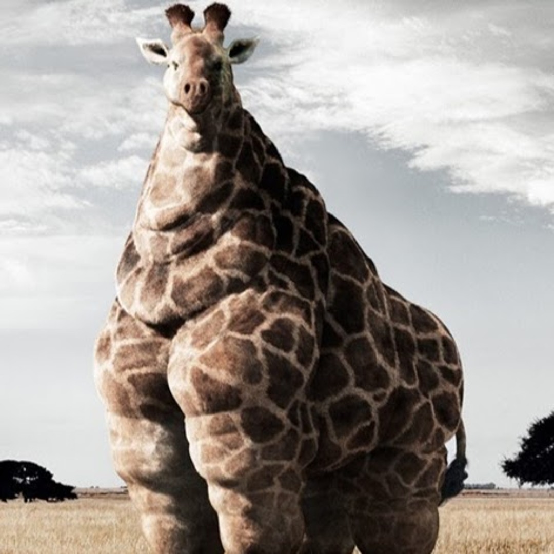 ▶︎早い者勝ち【貴重】giraffe★音符★ミュージックタイ★ジラフ★ネクタイ★黒 BLACK – giraffe ONLINE SHOP