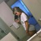 tory