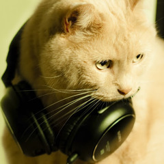 New private playlist