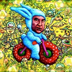 The Hofmann Experience