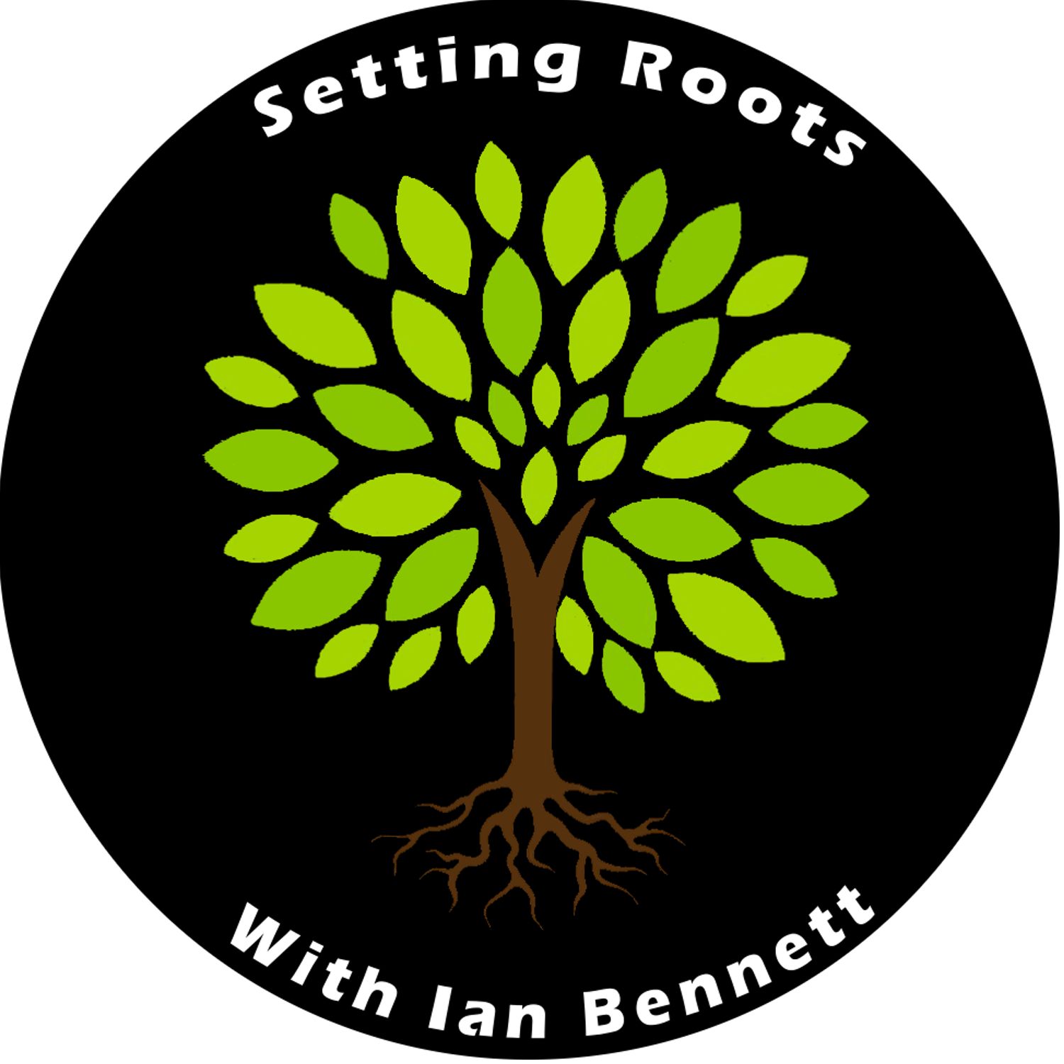 Setting Roots with Ian Bennett
