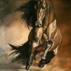 horsewhisperer108