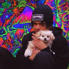 sensei x haze