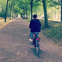 ylliesse